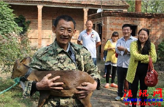 河南淮滨：一野生动物误闯平原县县乡干群齐救助
