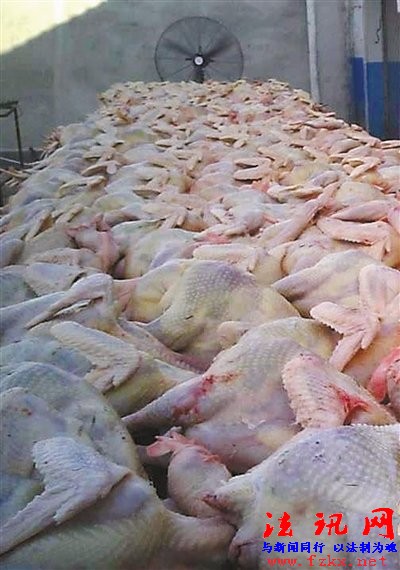 北京屠宰场销售大量死鸡 将肉鸡风干冒充柴鸡