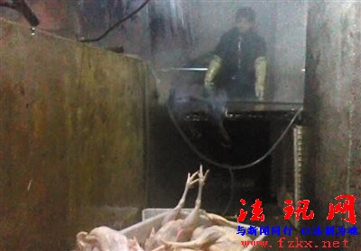 北京屠宰场销售大量死鸡 将肉鸡风干冒充柴鸡