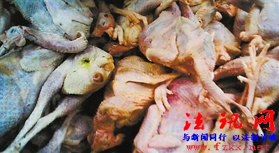 北京屠宰场销售大量死鸡 将肉鸡风干冒充柴鸡