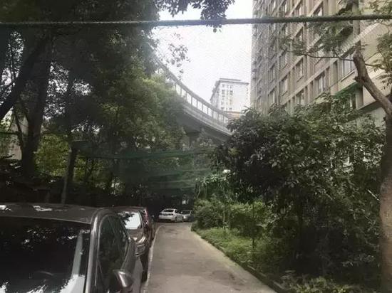 永庆坊拉起大网防高空抛物。金洁洁摄