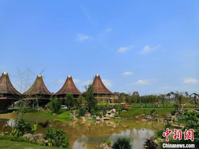 图为南宁园博园一隅。 杨陈 摄